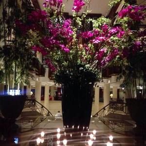 Meet your Posher, Fadia